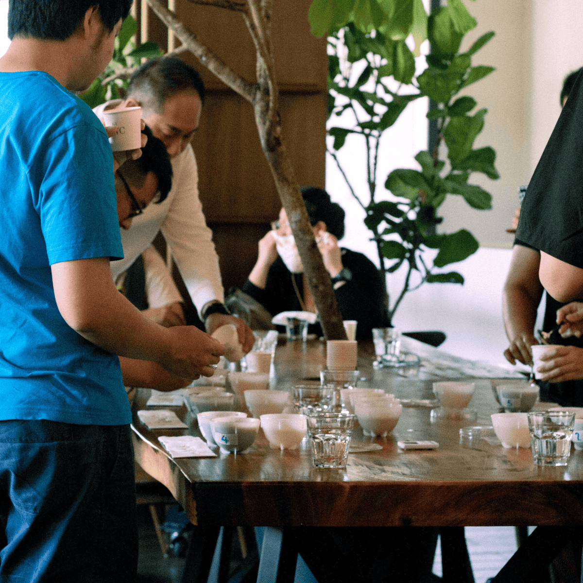 Public Coffee Cupping Event